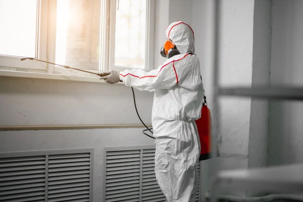 Professional mold remediation services in Drifton, PA